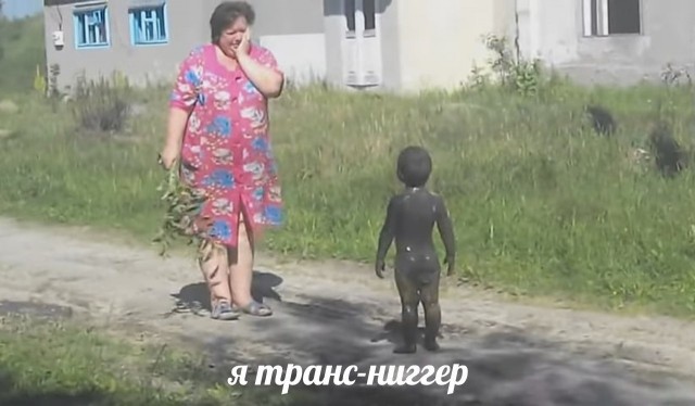 Картинки и мемы для настроения 28.07.2021