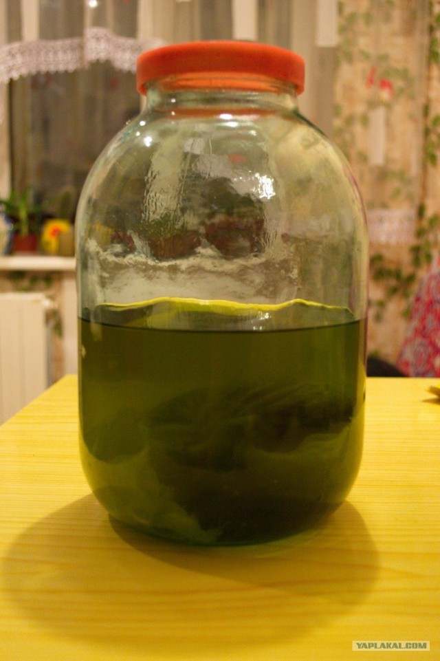 Про водку, горилку, самогон!