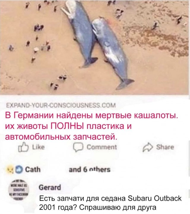 Всяческие картинки 19.11.2021