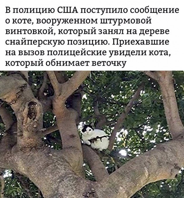 Так себе картинки 31.12.21