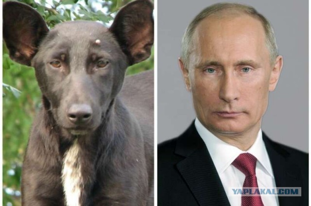 Ну ведь это он и есть!?