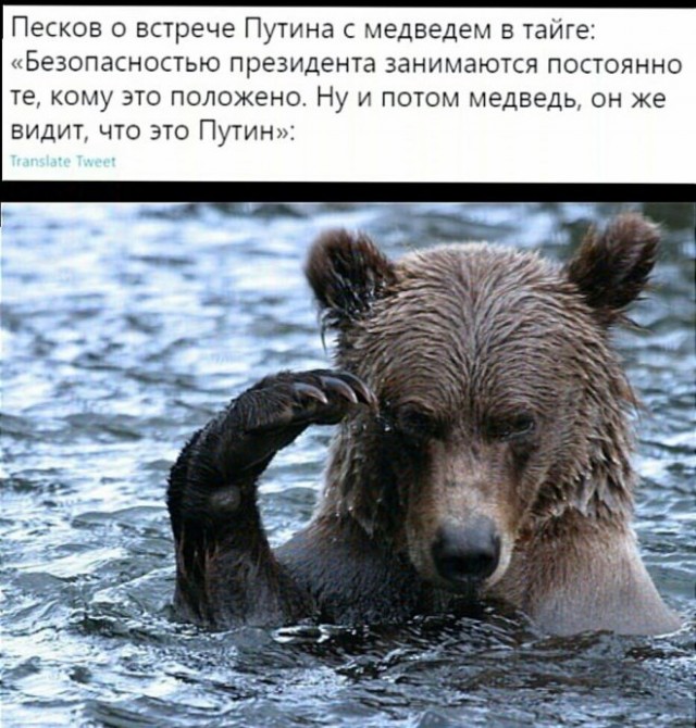 Псс..! Мемов надо?