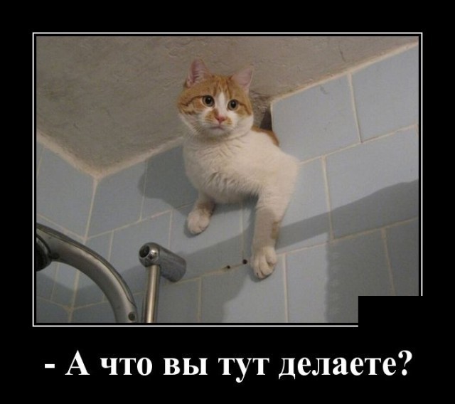 Подборка картинок с надписями 23.06.22