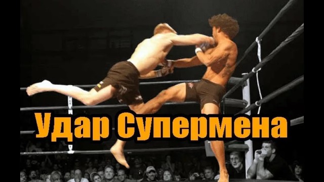Кунгфу панда самоубился