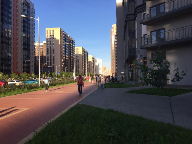 В Мурино произошла массовая драка со стрельбой