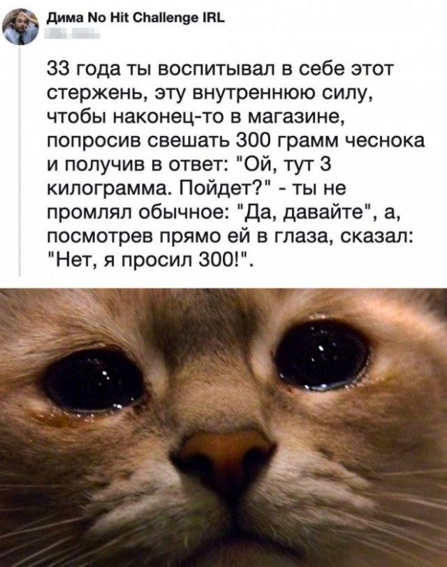 Немного картинок для настроения - 112
