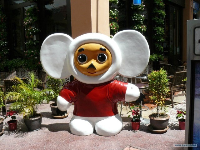 Немного Тая