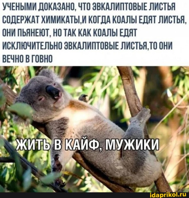 Алкопост  23.12.22