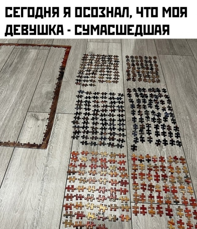 Весёлый полтишок 15.02.23