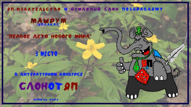 СлонотЯП итоги.