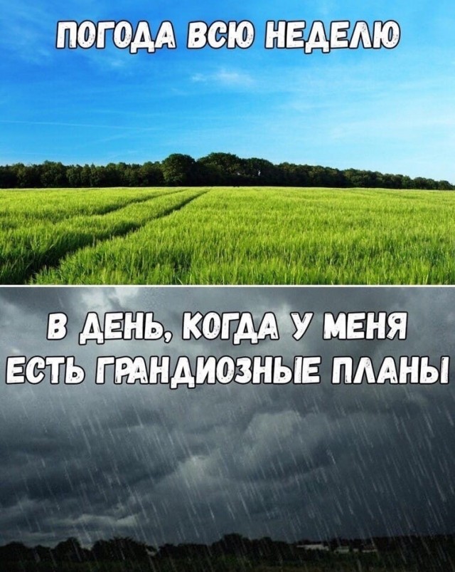 Так себе картинки 29.05.23