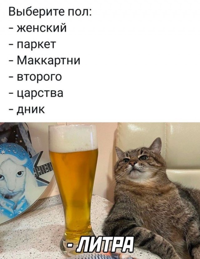 Забавные комментарии из социальных сетей (17.07.23)