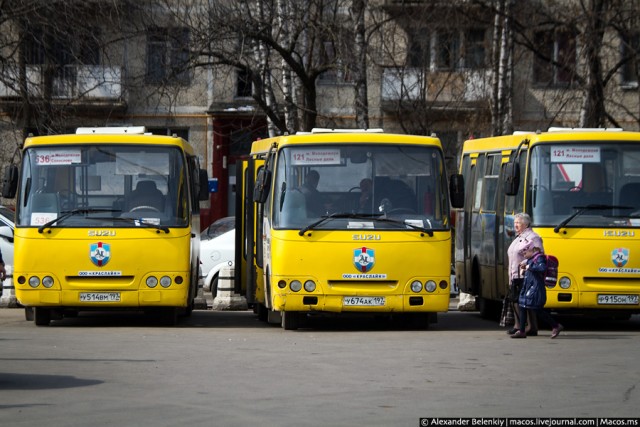 А дорогу покажешь?