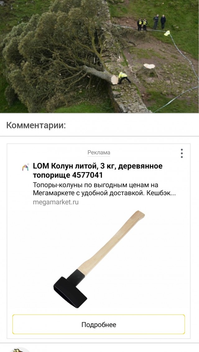Вандалы в Великобритании срубили легендарное дерево Робин Гуда
