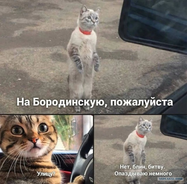 Так себе картинки 28.08.24