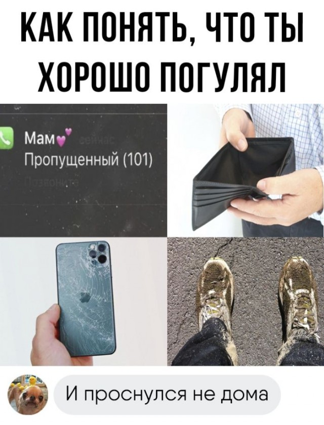 Веселые картинки к пятнице (11.10)