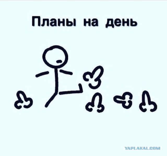 Подкрадули нужны кому?