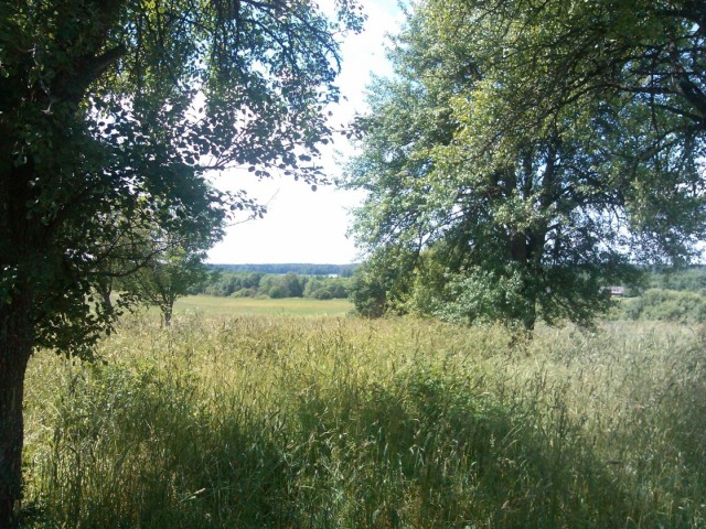 Домик в деревне.