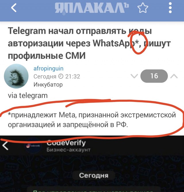 Telegram начал отправлять коды авторизации через WhatsApp*, пишут профильные СМИ