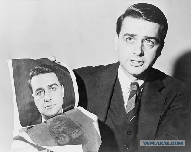 Факты о Polaroid