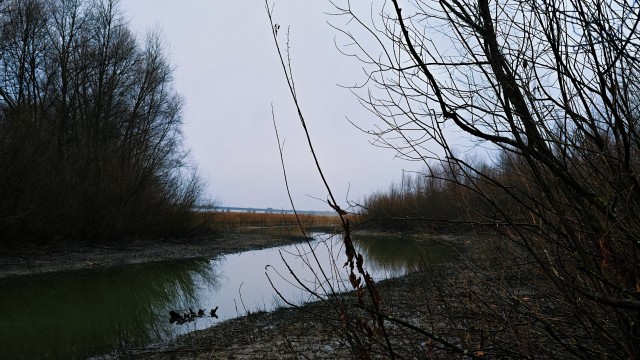 Бабаевская фабрика, заброшка