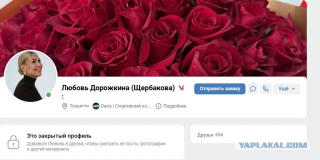 Жена депутата из Тольятти, улетавшая рожать в Чили ради «сильного паспорта», вернулась в Россию и сразу извинилась за свой пост