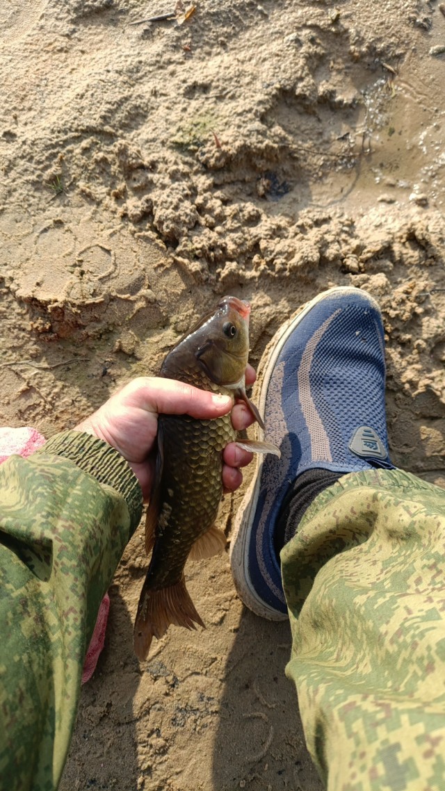 Выходной не прошел даром....