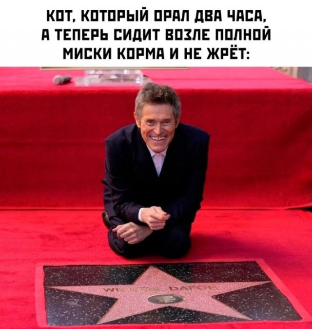 Картинки для деградации 245 (разной степени свежести)