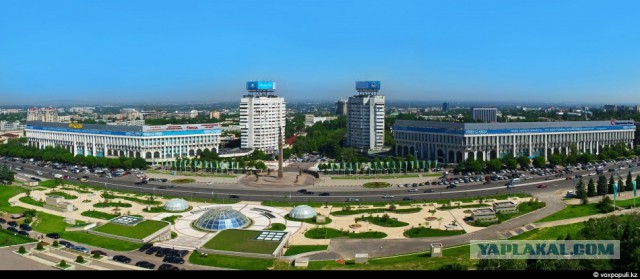 На Майдане посадили огород и строят свинарник.