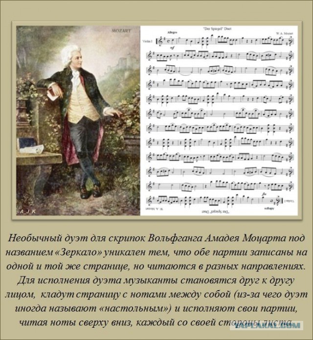 20 фактов обо всем