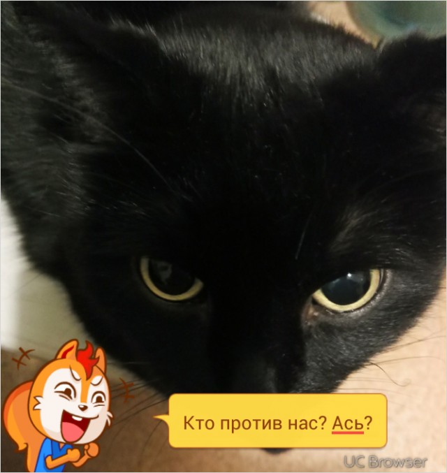 Чемпионат Мира по хоккею 2015 часть 4