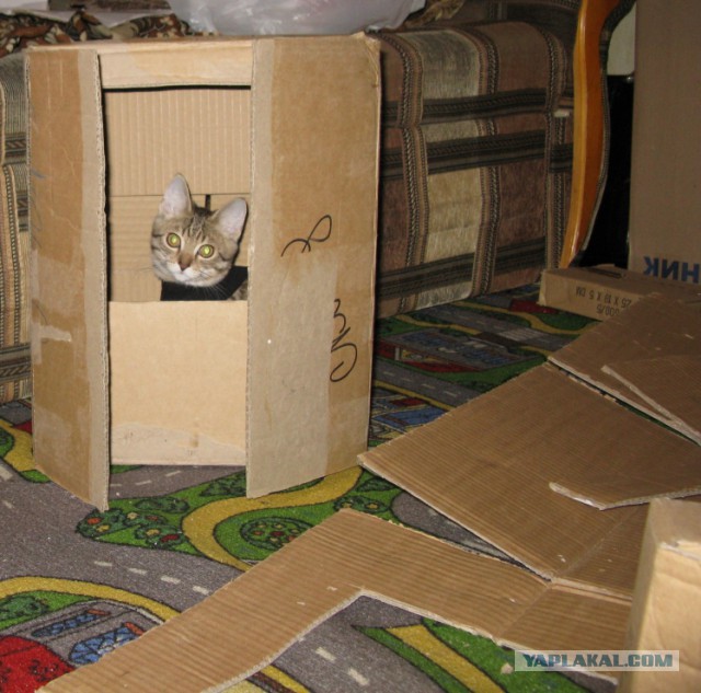 TERMINATOR одно из продолжений