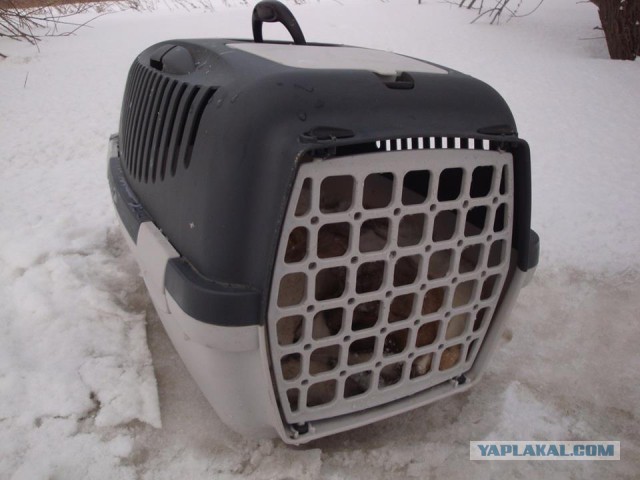 О людях - "нелюдях"!