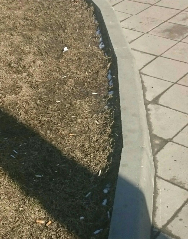 Откуда в наших городах берётся грязь?