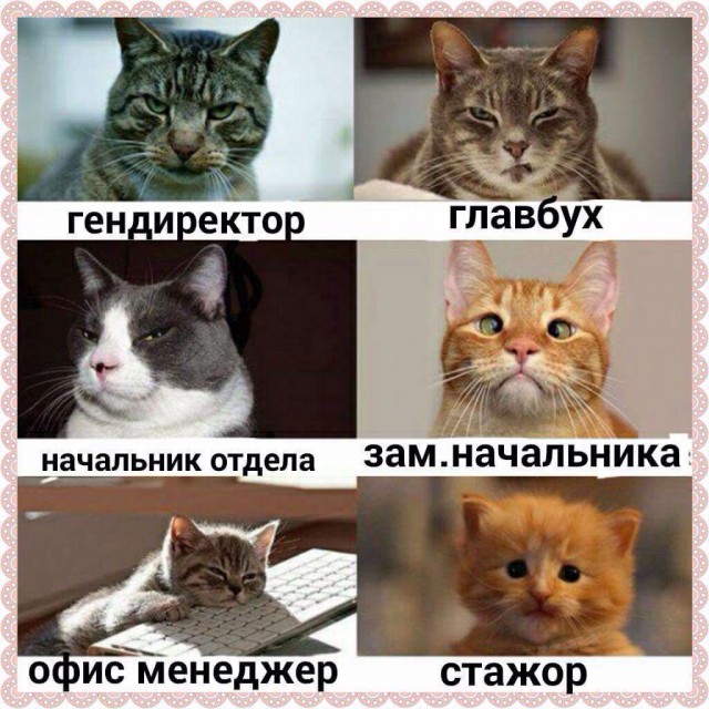Журнал деградант