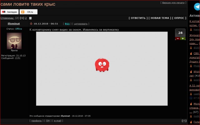 Сами ловите таких крыс