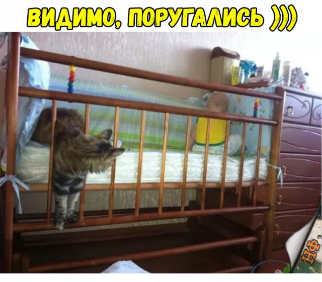 Прикольные картинки абавсём