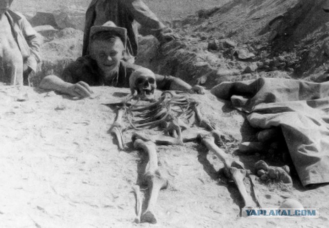 Какие изменения происходят с телом человека после 100 лет в могиле