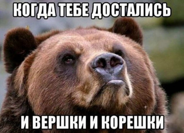 Бредзона 20.04.2020