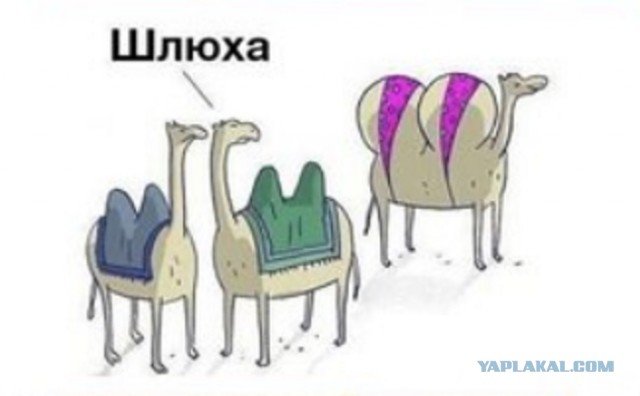 Моя подборка картинок для любимого сайта с любимого сайта