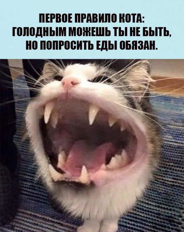 Бредзона 23.11.20