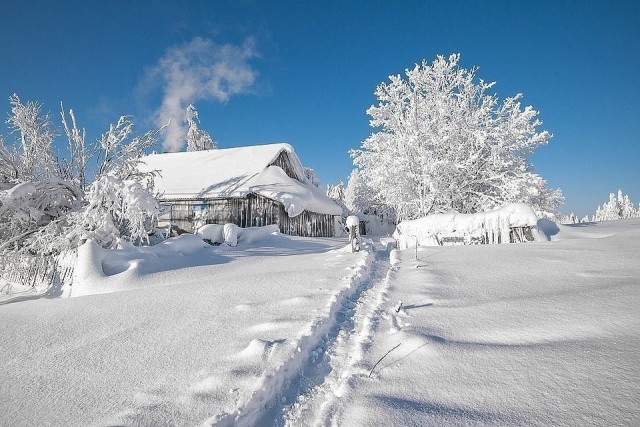 Юмор в картинках 5.01.21