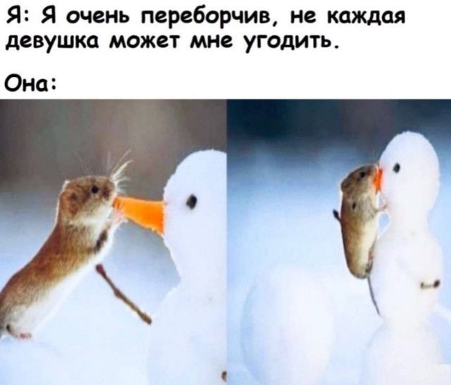 АХТУНГ! все на плановую деградацию!