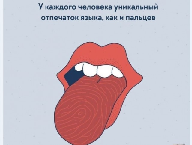 Картинки и мемы для настроения 015