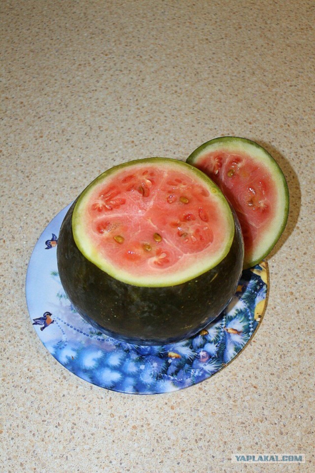 Самая странная еда, которую ели русские цари
