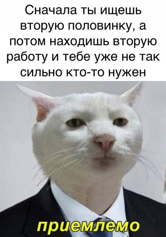 Картинки и мемы для настроения 02.06.2021