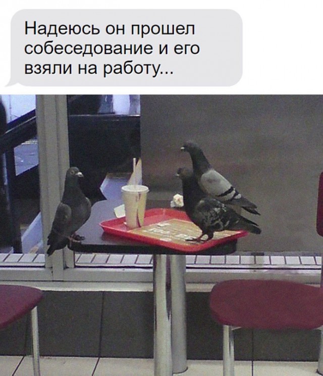 Весёлый полтишок 01.02