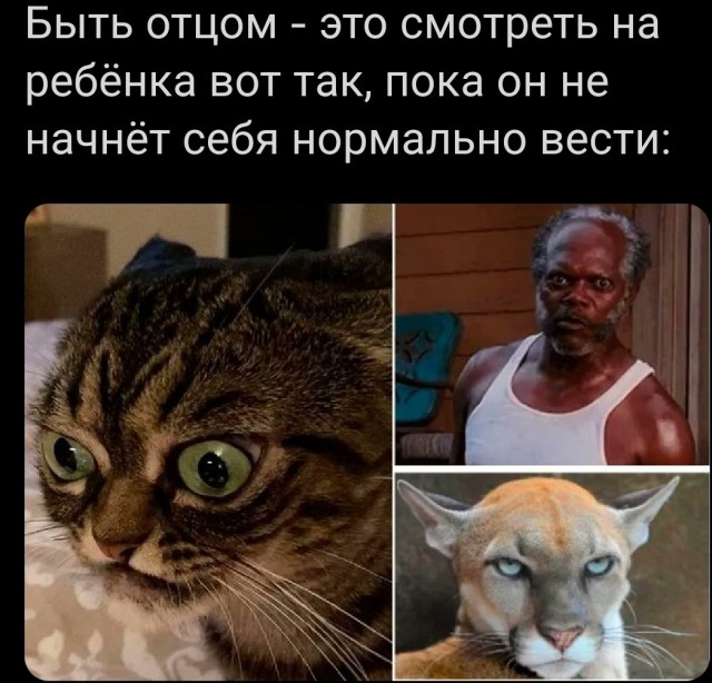 Картинки для настроения с надписями и без
