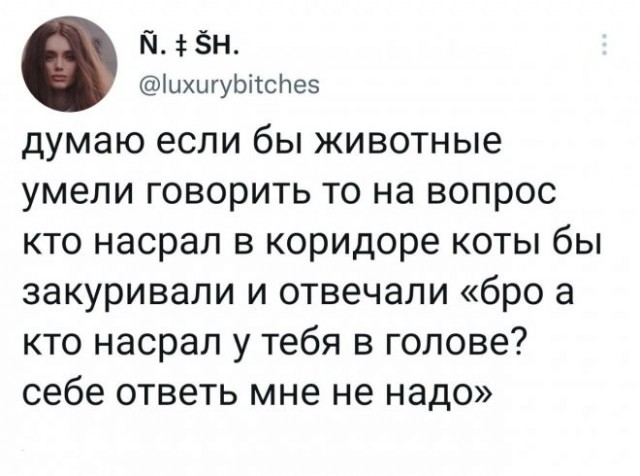 Скриншоты и комментарии из социальных сетей 28.08.22