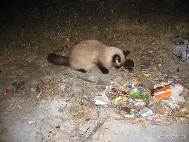 Хороший отдых